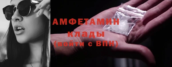 индика Елизово