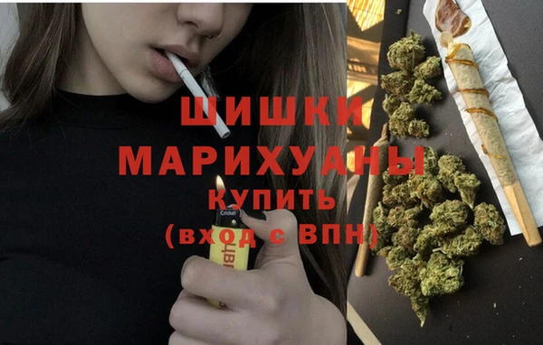 индика Елизово