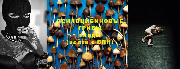 ГАЛЛЮЦИНОГЕННЫЕ ГРИБЫ Заволжск