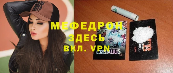 индика Елизово