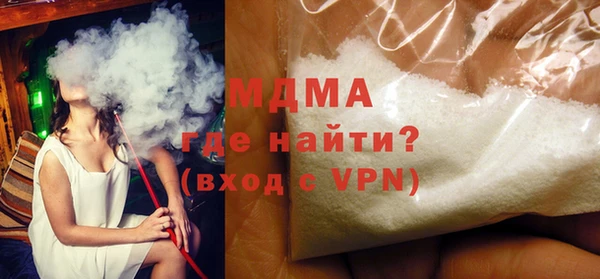 индика Елизово