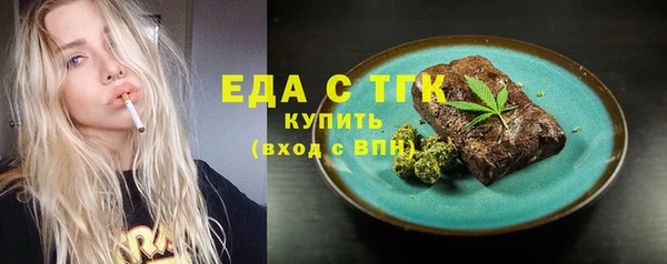 индика Елизово