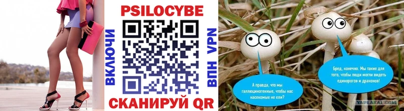 Псилоцибиновые грибы ЛСД  Купить  Макаров 